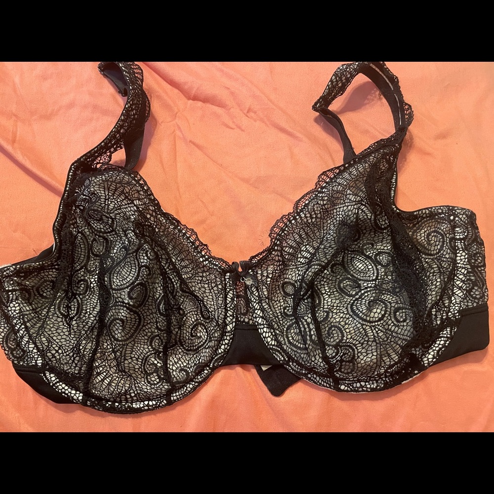 cacique opulent lace 36ddd
